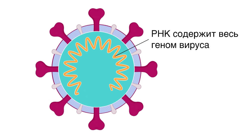 Кракен клирнет ссылка