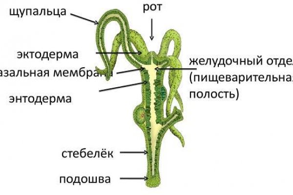 Кракен дарк ссылка