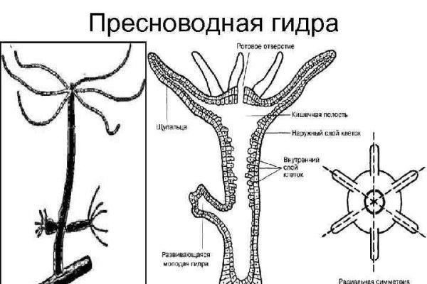 Кракен даркнет текст